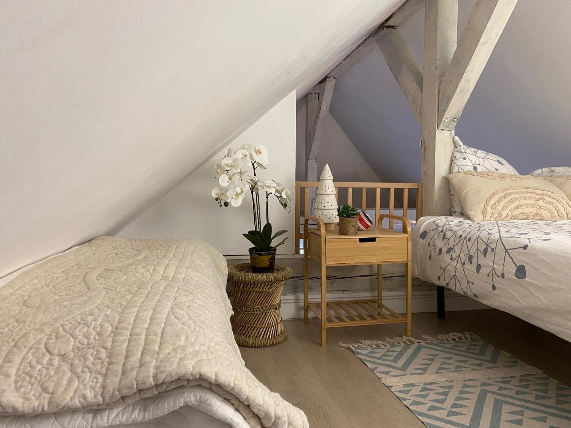 Duplex Spacieux Tout Confort Mulhouse Bagian luar foto