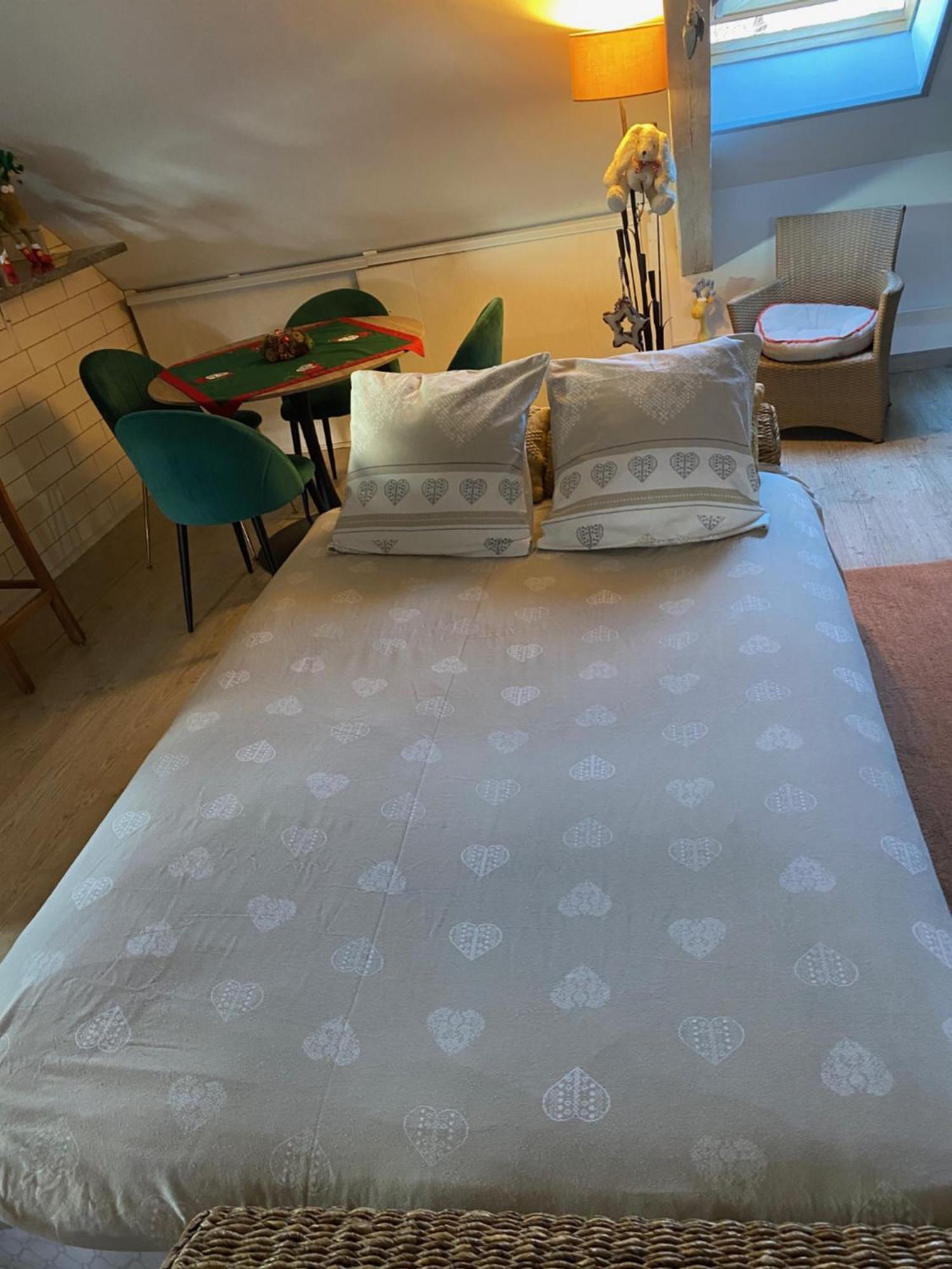 Duplex Spacieux Tout Confort Mulhouse Bagian luar foto