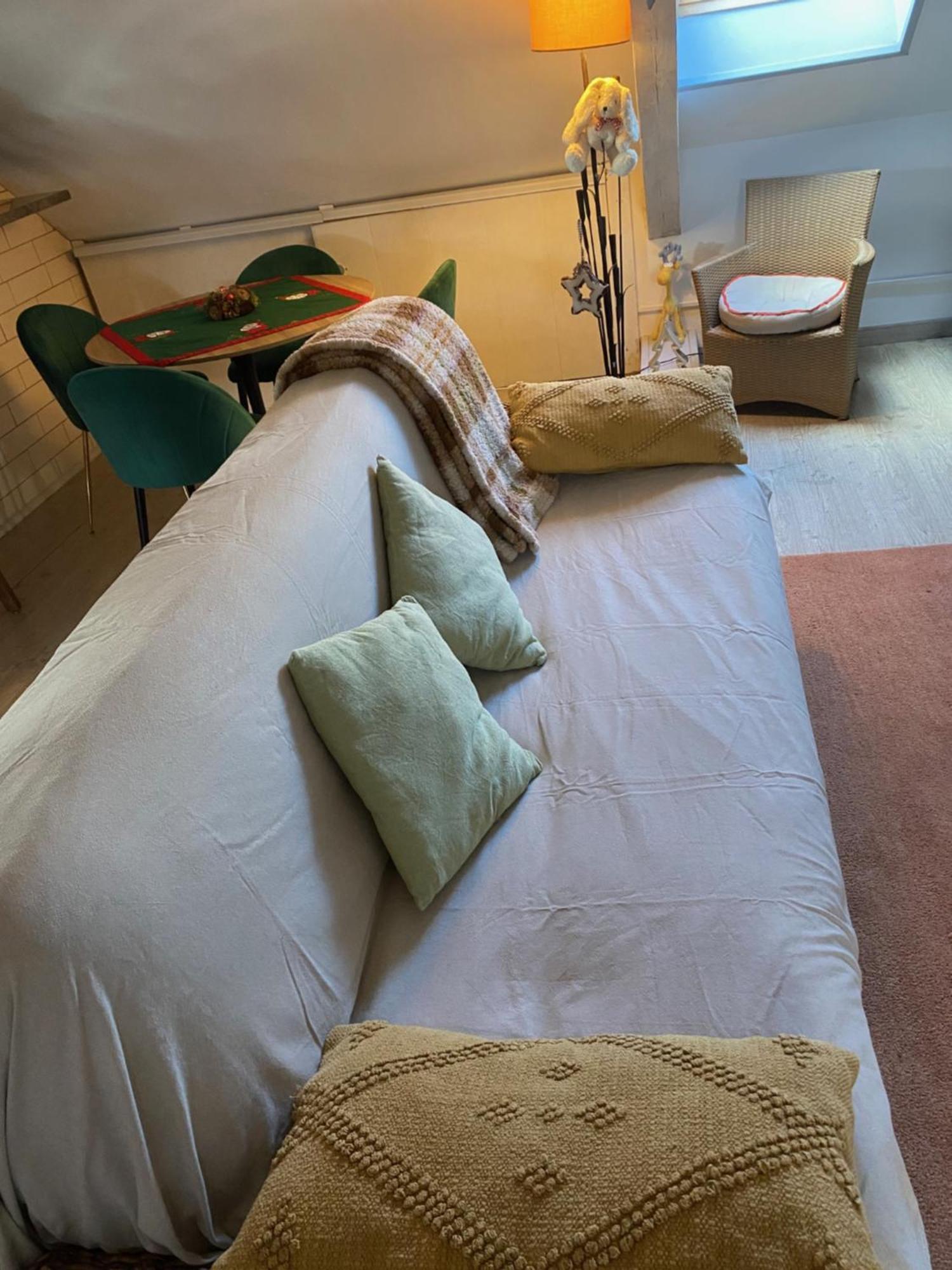 Duplex Spacieux Tout Confort Mulhouse Bagian luar foto