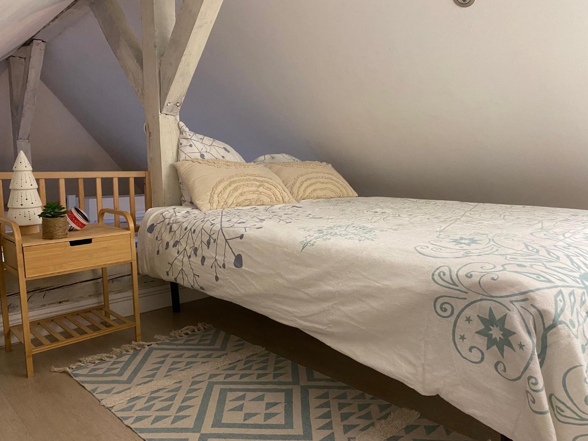 Duplex Spacieux Tout Confort Mulhouse Bagian luar foto